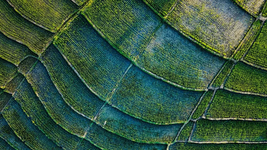 Photo from Alexey Marchenko on Unsplash