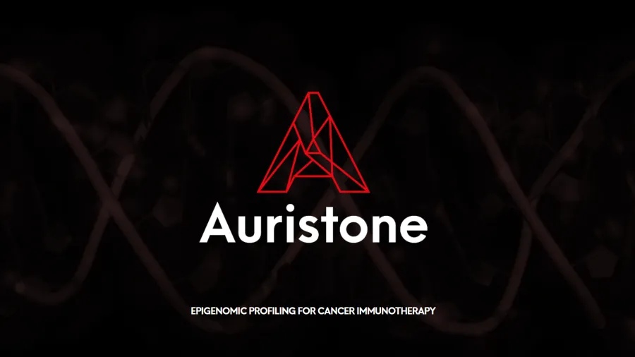 Auristone