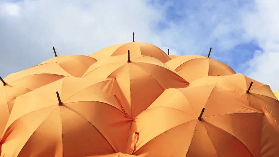 /Catrin Johnson from Unsplash