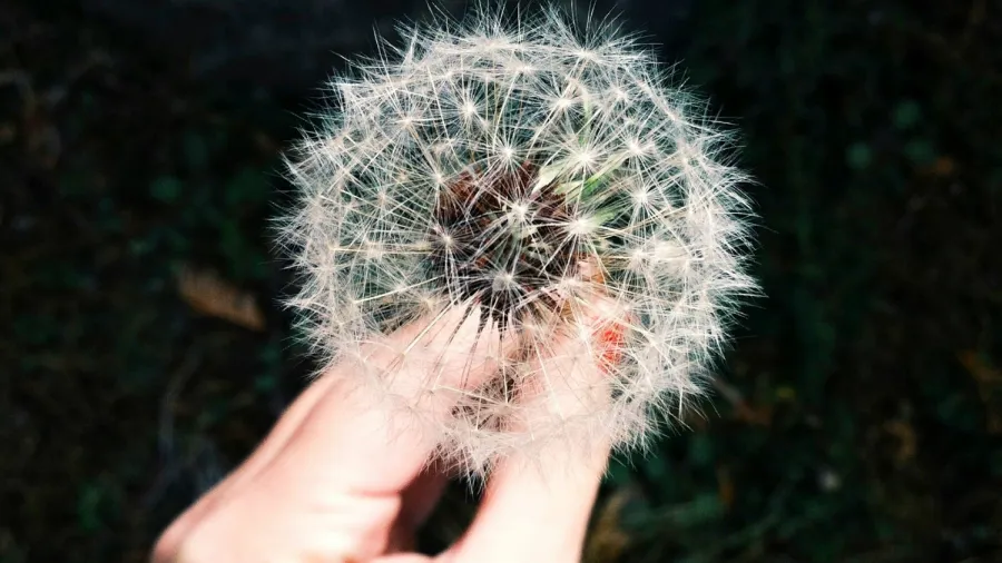 Photo from Coley Christine on Unsplash