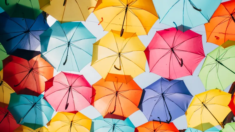 Photo by Ricardo Resende via Unsplash.