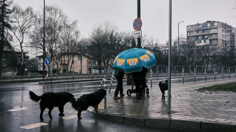 /Lora Georgieva from Unsplash