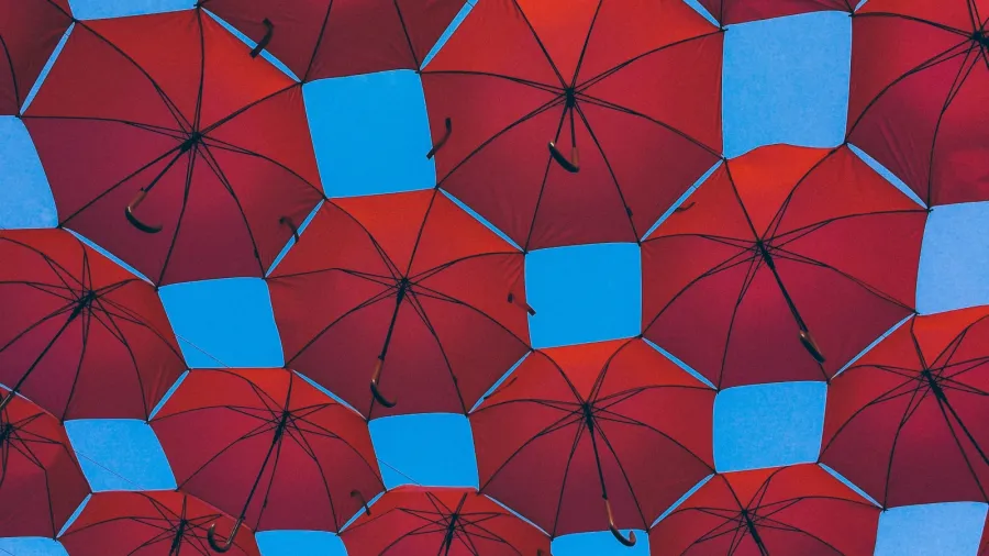 /Mario Gogh from Unsplash