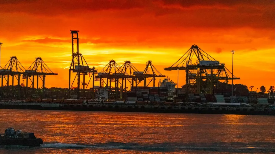 Photo by via Pexels