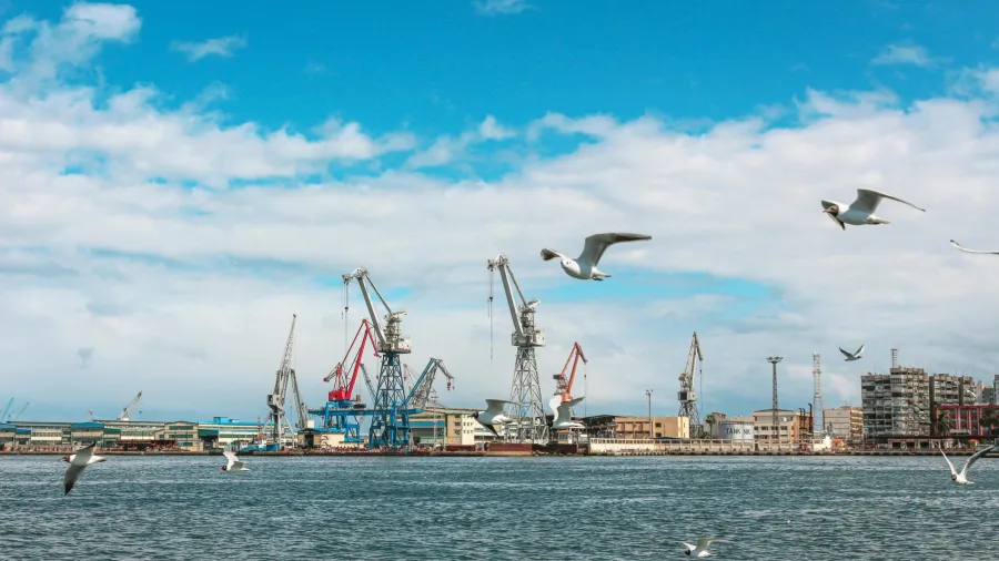 Photo by Rewan Ahmed via Pexels