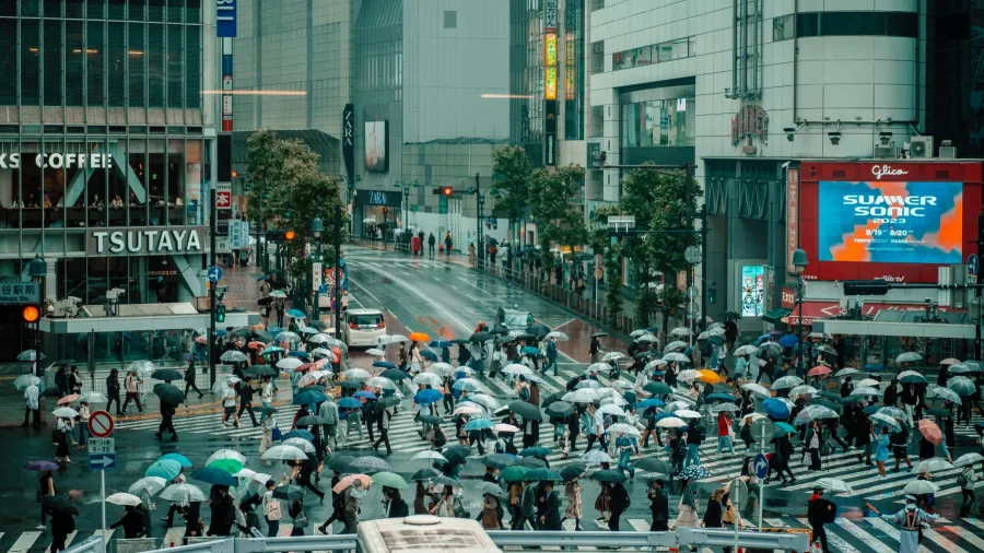 Photo by Szymon Shields via Pexels