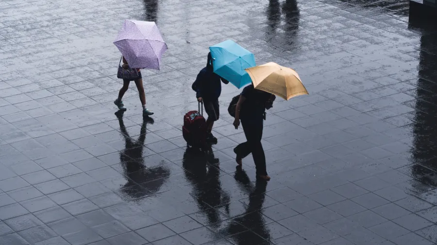 /Ryoji Iwata from Unsplash