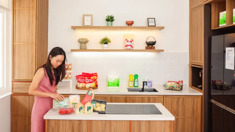 Press photo (foodpanda)