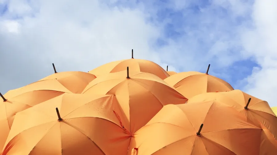 /Catrin Johnson from Unsplash