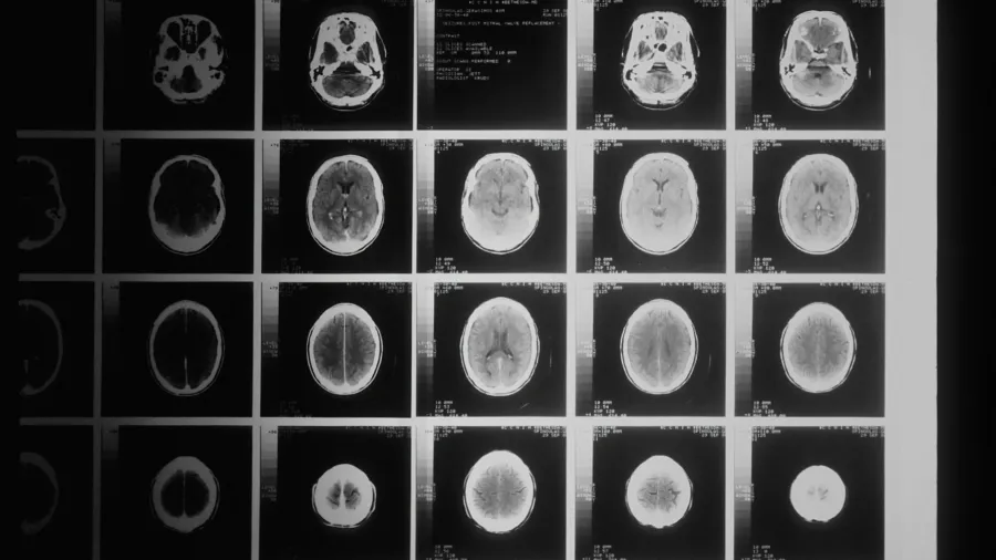 Photo from the National Cancer Institute on Unsplash