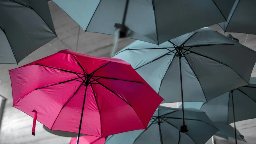 /Noah Naf from Unsplash