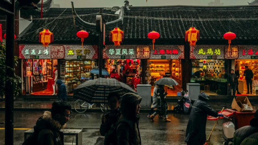 /Nuno Alberto from Unsplash