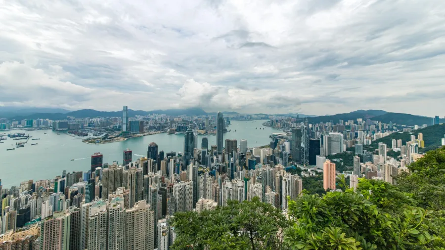 Photo by Jimmy Chan via Pexels