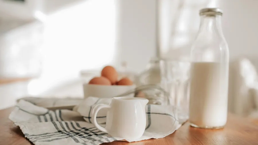 Photo by Vlada Karpovich via Pexels