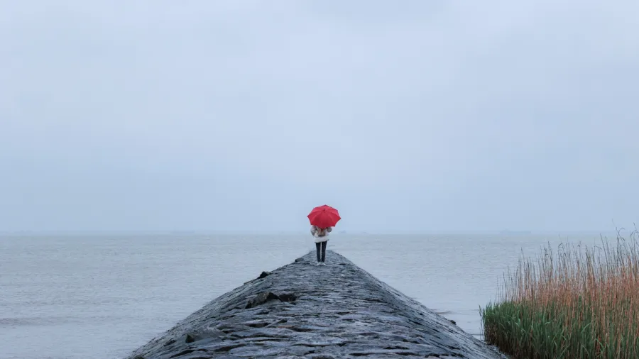 /Realfish from Unsplash