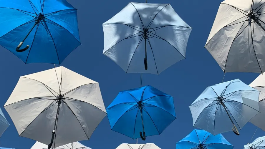 /Nayeli Leal Uh from Unsplash
