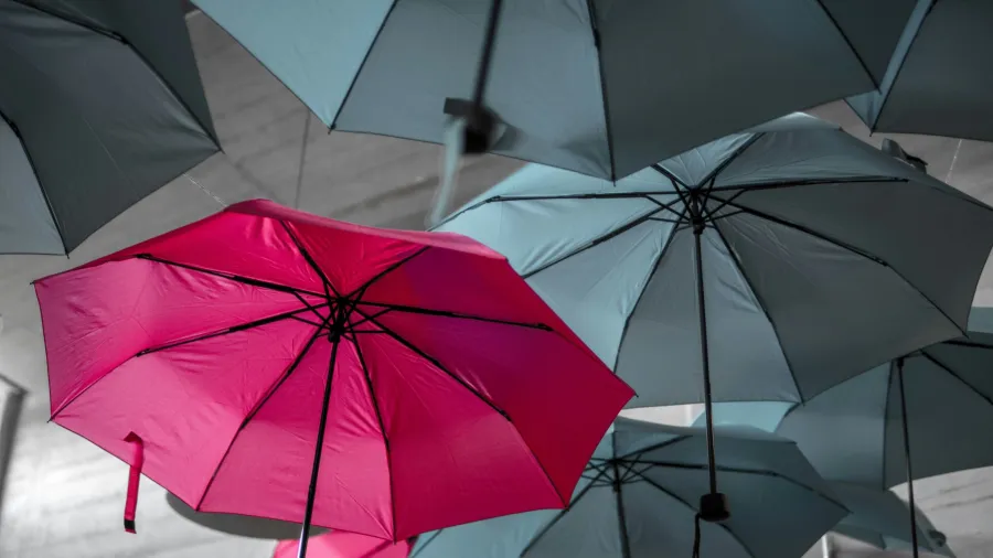 /Noah Naf from Unsplash