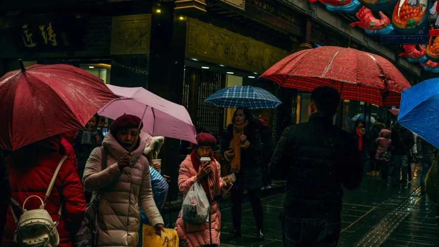 /Nuno Alberto from Unsplash