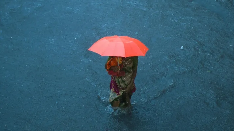 /Aamir Dukanwala from Pexels