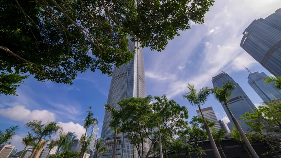 Photo by Jimmy Chan via Pexels