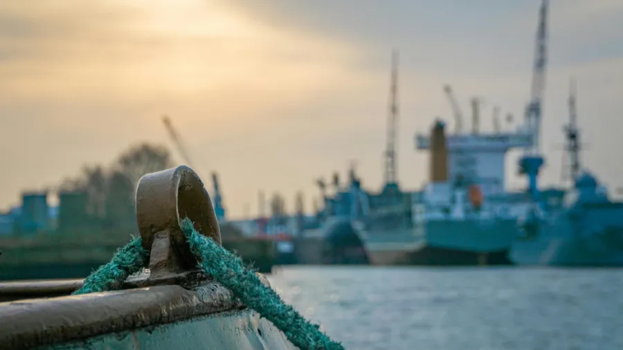 Photo by mali maeder via Pexels