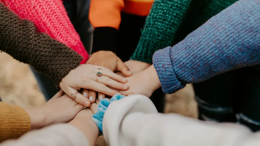 Hannah Busing via Unsplash.