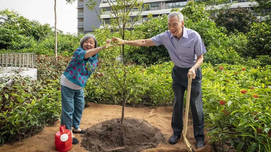 Photo from Woodlands Health website