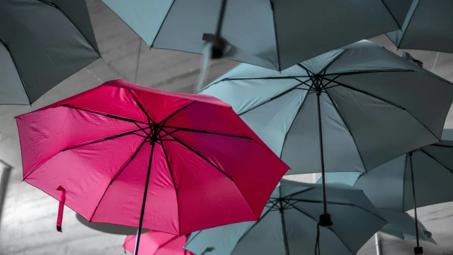 /Noah Naf from Unsplash