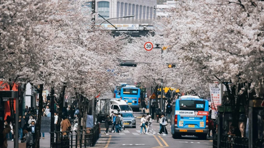 Photo by Jakob Jin via Pexels