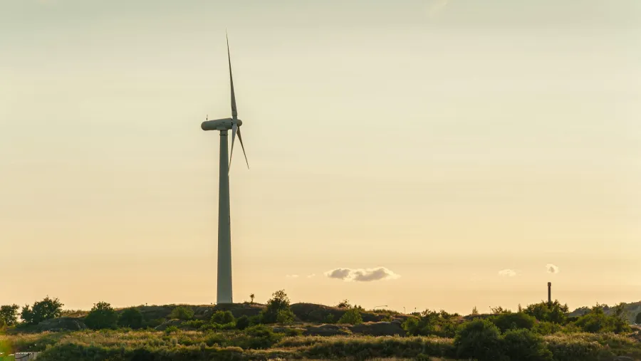 Photo by Trygve Finkelsen via Pexels