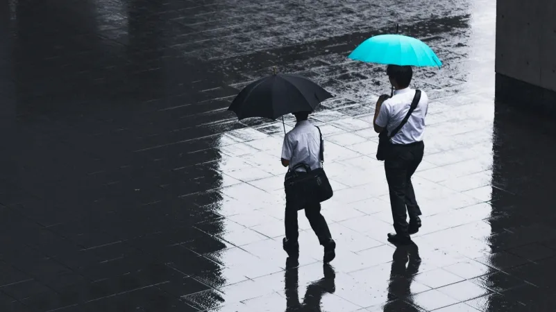 /Ryoji Iwata from Unsplash
