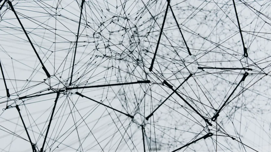 Photo by Alina Grubnyak via Unsplash.