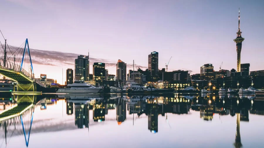 Photo by Dan Freeman on Unsplash