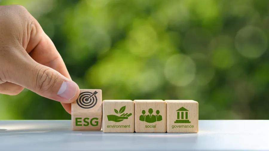 Photo from Envato Elements