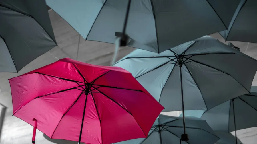 /Noah Naf from Unsplash