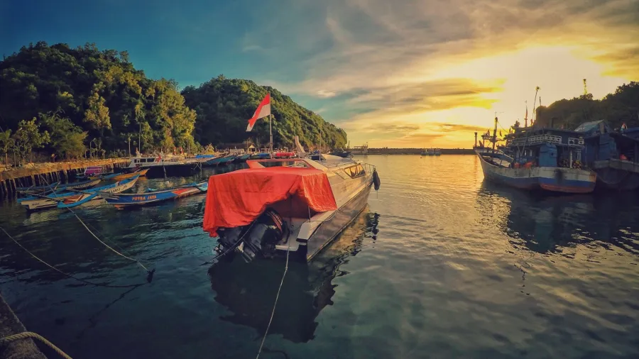 /Ahmad Syahrir from Pexels