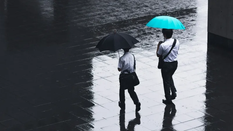 /Ryoji Iwata from Unsplash