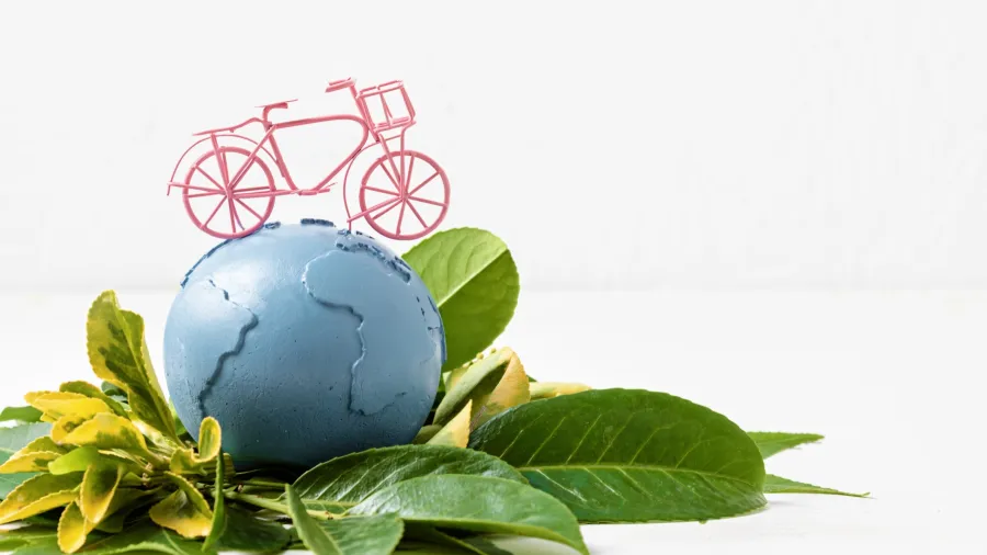 Photo from Envato Elements