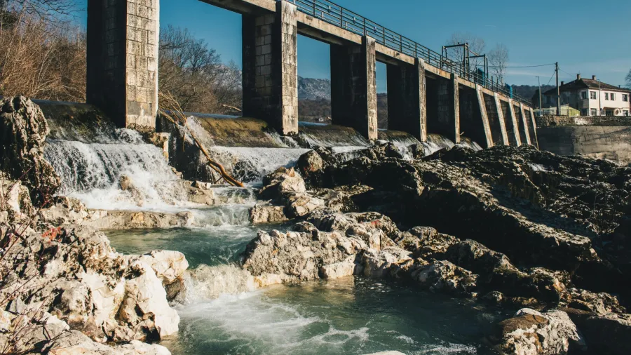 Photo by Mihailo Jovicevic via Pexels