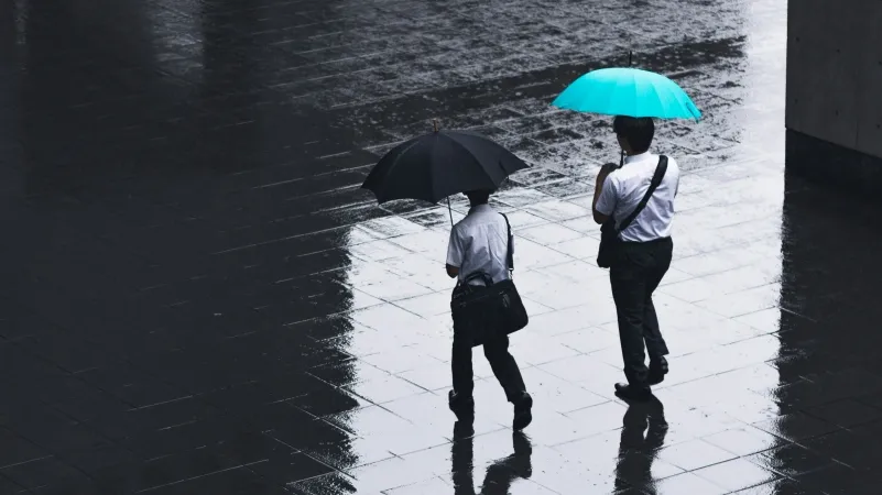 /Ryoji Iwata from Unsplash
