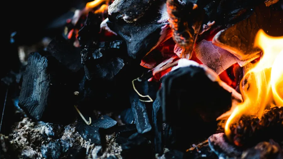 Photo by Heiner via Pexels