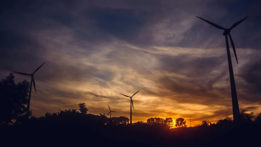 Photo by Irina Iriser via Pexels