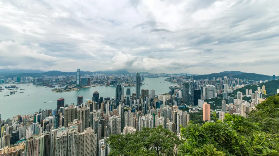 Photo by Jimmy Chan via Pexels