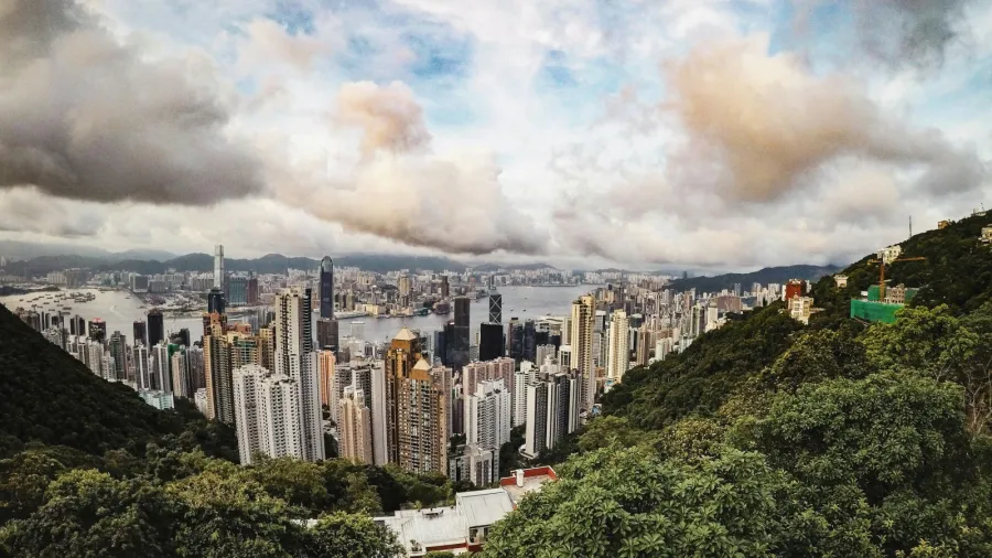 Photo by Matheus Köhler via Pexels.