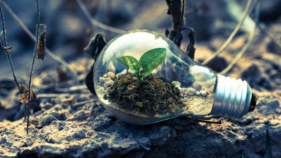 Photo by Singkham via Pexels.