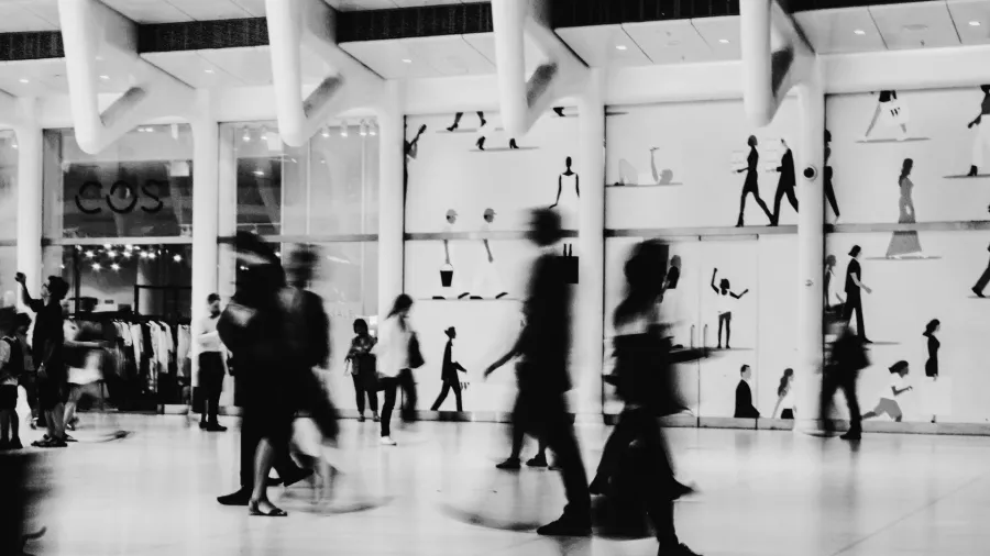Photo by Taylen Lundequam via Pexels