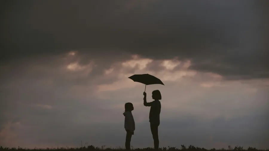 /JW Ju from Unsplash