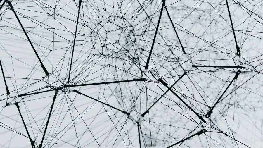 Photo by Alina Grubnyak via Unsplash.