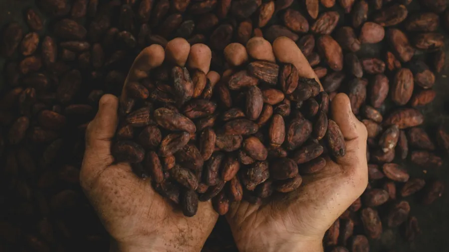 Photo by Pablo Merchán Montes via Unsplash