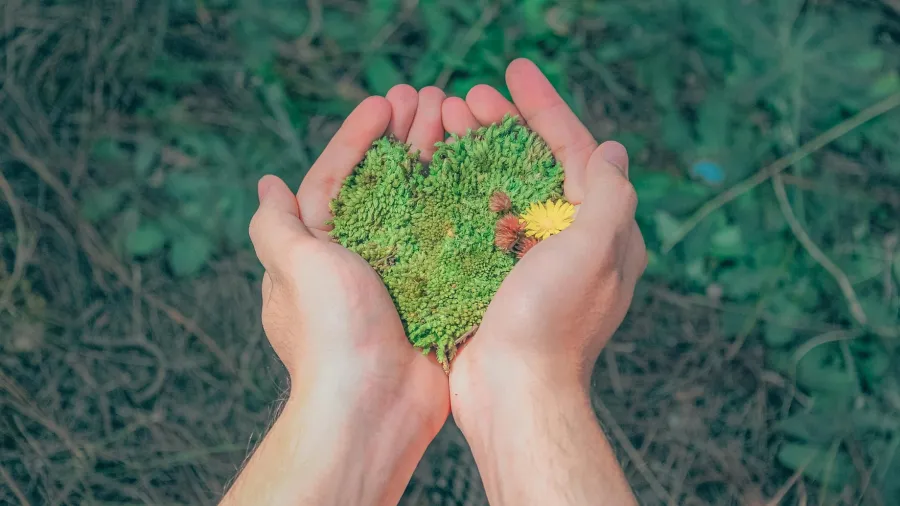 Photo by Min An on Pexels